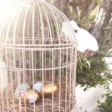 Hébergement de vacances Filia Archangelos (Rhodes)